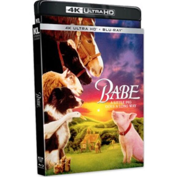 Babe - Picture 1 of 1